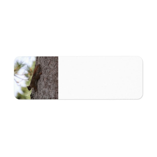 Upside Down Squirrel Address Label (Front)