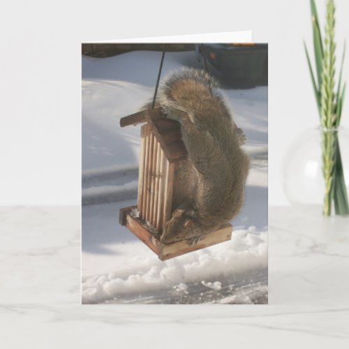 Upside Down Squirrel Card