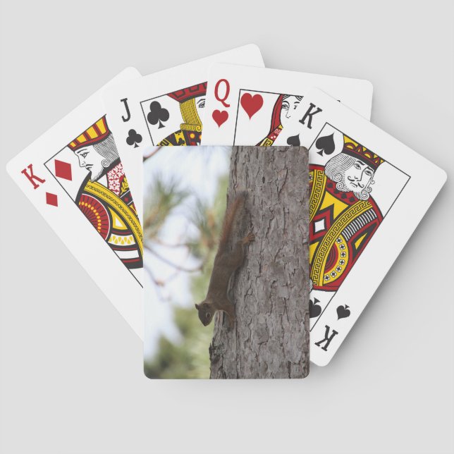 Upside Down Squirrel Playing Cards (Back)