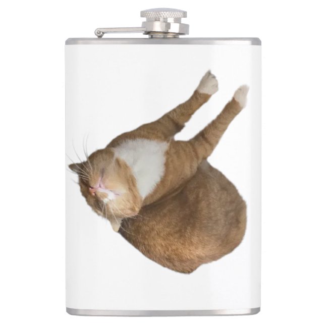 Upside-Down Sunshine Cat Flask (Front)