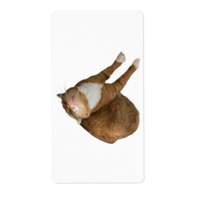 Upside-Down Sunshine Cat Label (Front)
