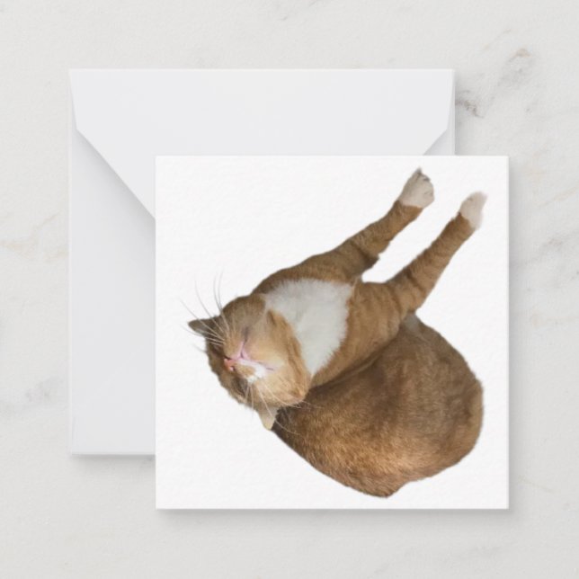 Upside-Down Sunshine Cat Note Card (Front)