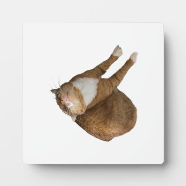 Upside-Down Sunshine Plaque (Front)