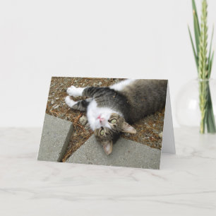 Upside Down Tabby Cat Easter Card