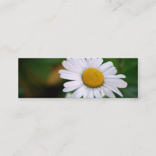 Upsy-Daisy [Skinny] Business Cards