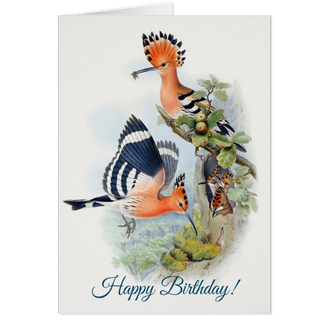 Upupa Epops  Happy Birthday Cards (Front)