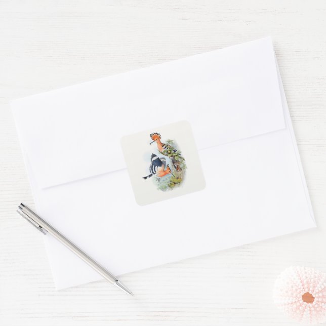 Upupa Epops Square Sticker (Envelope)