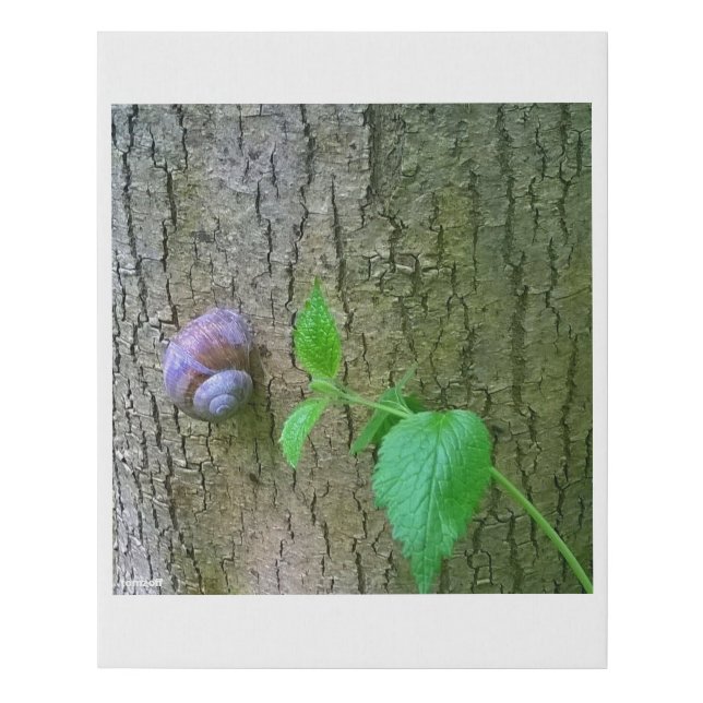 upward - faux canvas print (Front)