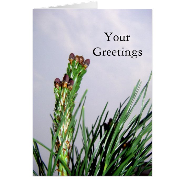 Upward/ Flowering Pine All Occasion Greetings Cards
