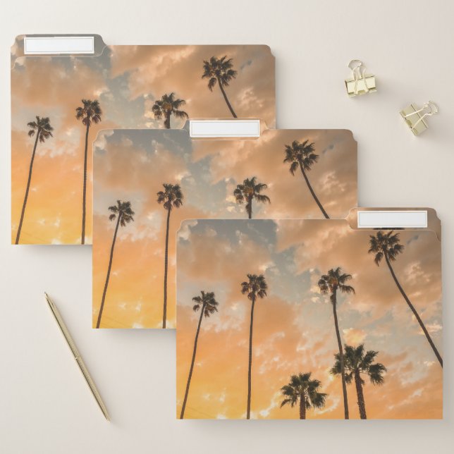 Upward View of Palms File Folder (Set)