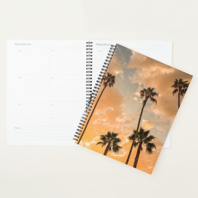 Upward View of Palms Planner (Display)