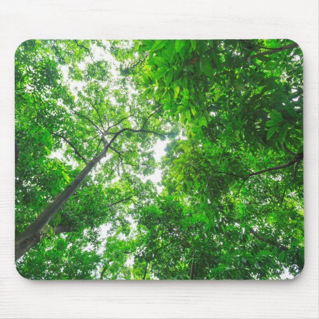Upward View of Trees Mouse Pad (Front)
