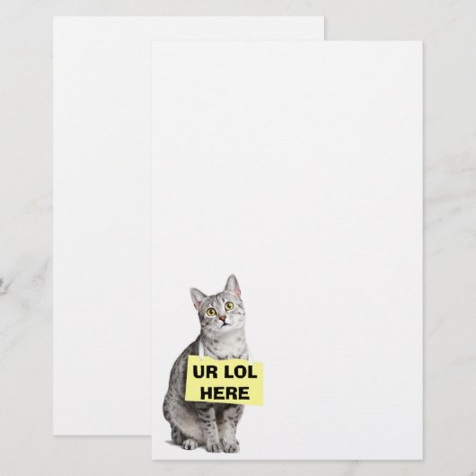 UR LOL HERE (Front/Back)