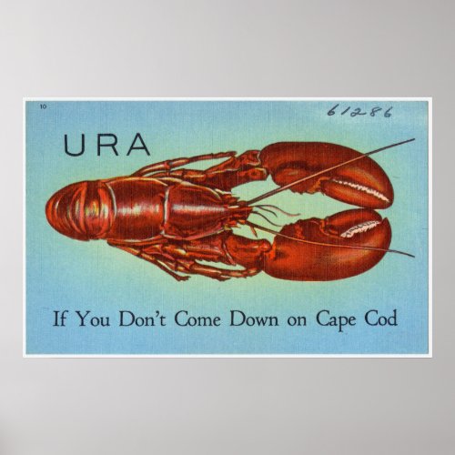 URA Lobster if you dont come to Cape Cod Poster