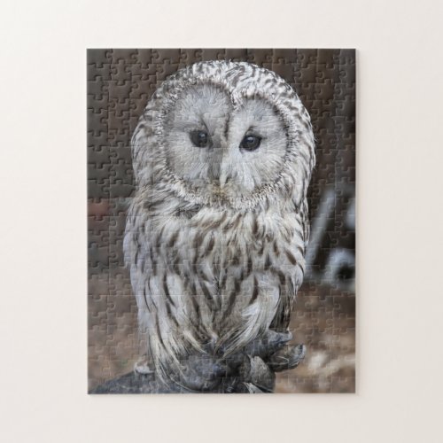 Ural Owl Jigsaw Puzzle