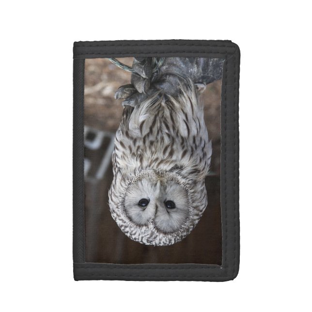 Ural Owl Wallet For Women (Front Vertical)