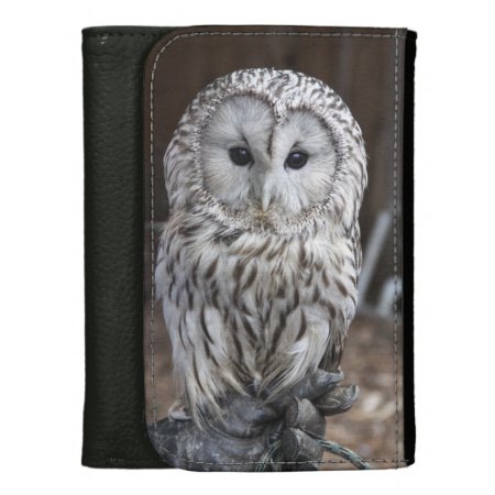 Ural Owl Wallet For Women