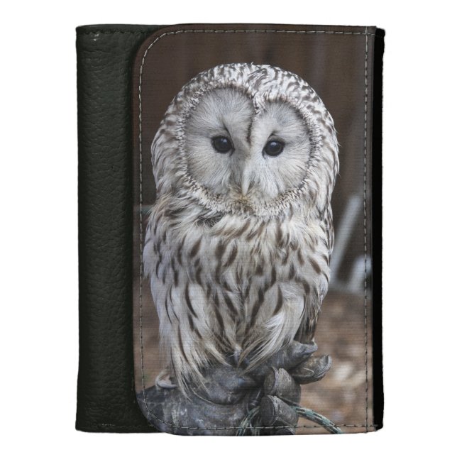 Ural Owl Wallet For Women (Front Vertical)