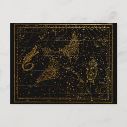 Uranias Mirror Celestial Map Gold and Black   Postcard