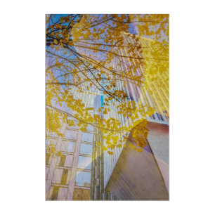 Urban Autumn Abstract Acrylic Print