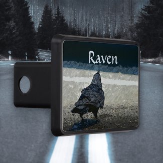 Urban Black Bird