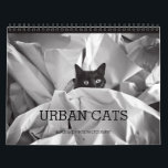 Urban Cats Black and White Photography Calendar<br><div class="desc">Custom calendar featuring street cats black and white photography. A perfect gift for any cat lover!</div>