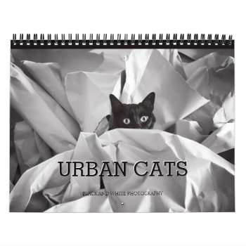 Urban Cats Black And White Photography Calendar by BluePlanet at Zazzle