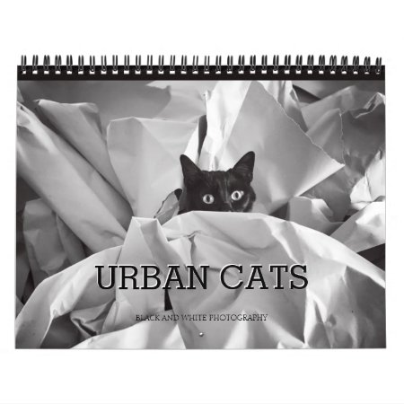 Urban Cats Black And White Photography Calendar