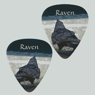 Urban Crow in Shades of Gray and Black Guitar Pick