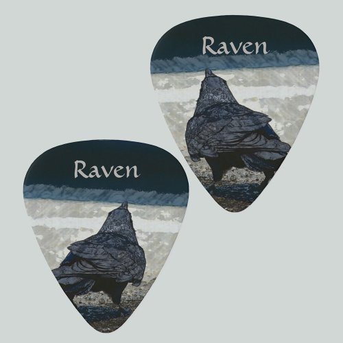 Urban Crow in Shades of Gray and Black  Guitar Pick