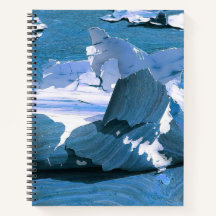 Urban Decay - A Study of Peeling Paint