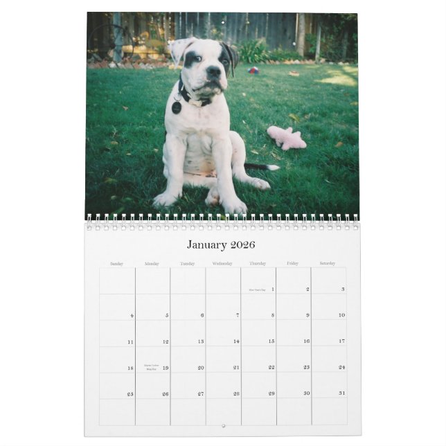 Urban Doo Crash Calendar (Jan 2026)