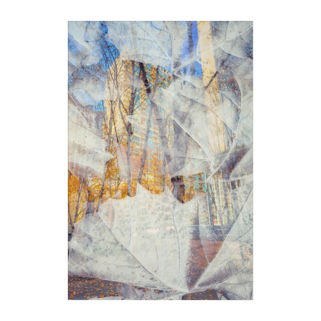 Urban Fall Abstract Acrylic Print (Front)