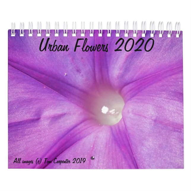 Urban Flowers 2020 Calendar (Cover)