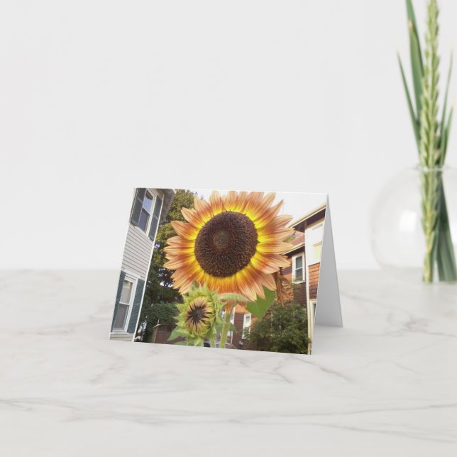 Urban Gardens Notecard (Front)