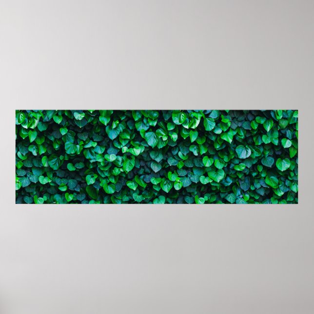 Urban jungle indoor gardening poster (Front)