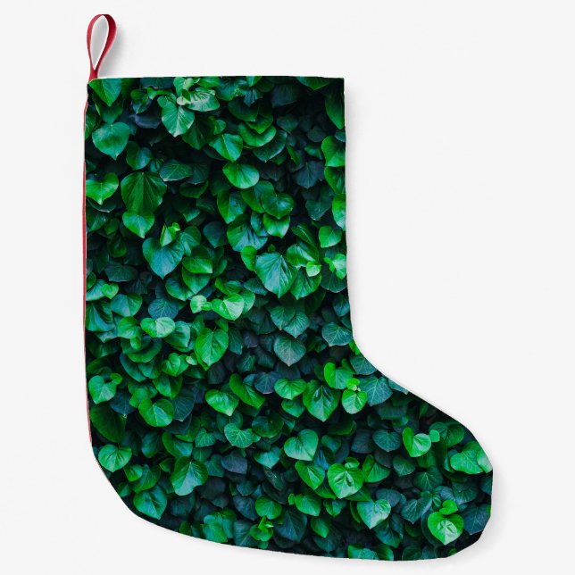 Urban jungle indoor gardening small christmas stocking (Front)