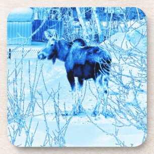 Urban Moose Beverage Coaster