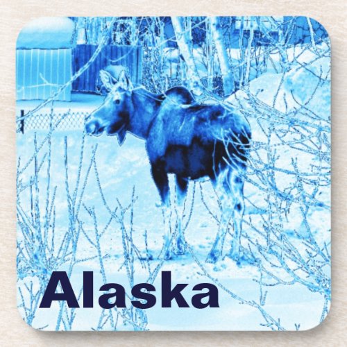 Urban Moose Coaster