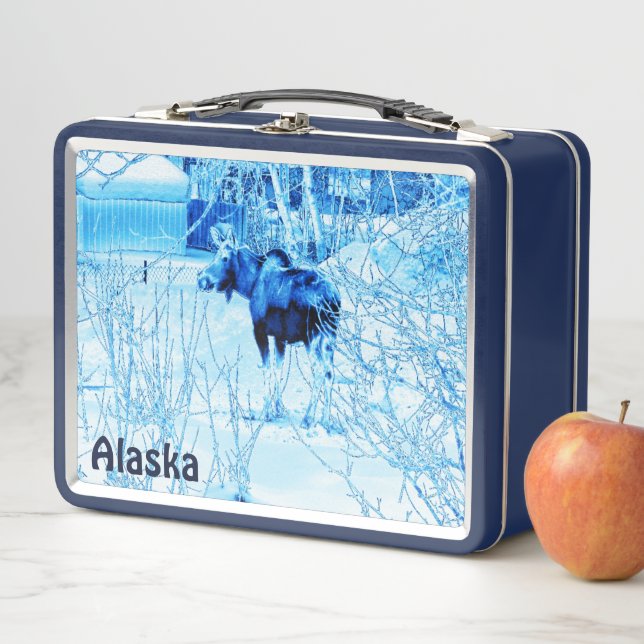 Urban Moose Metal Lunch Box (In Situ)