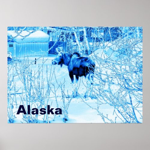 Urban Moose Poster