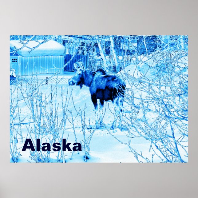 Urban Moose Poster (Front)