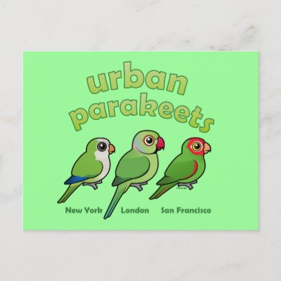 Urban Parakeets Postcard