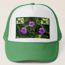 Urban Petal