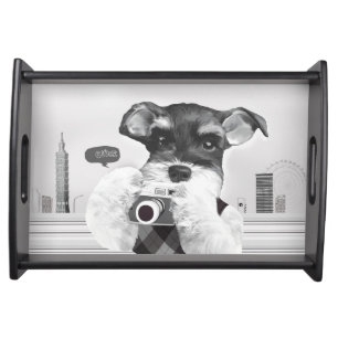 Urban Photographer: Schnauzer in Taipei City Serving Tray