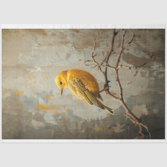Urban Rustic Nature Yellow Songbird Art Tissue Paper (Front)