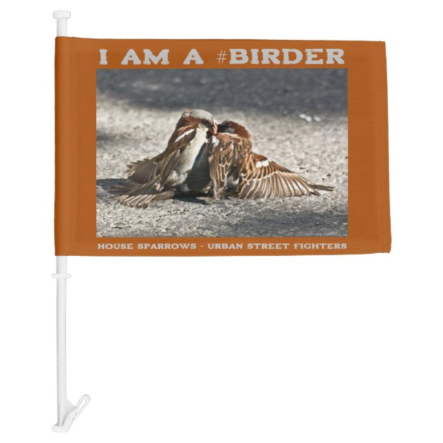 Urban Street Fighters House Sparrows Birder Car Flag (Front)