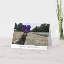 urban wildflower greeting card (congratulations)