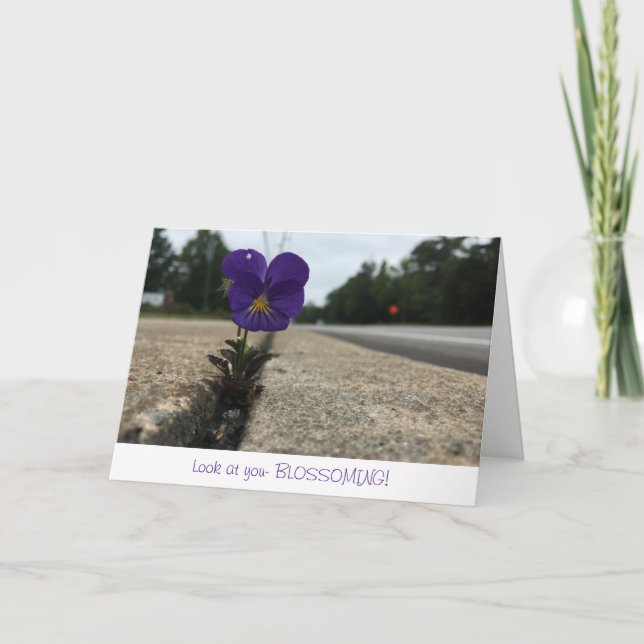 urban wildflower greeting card (congratulations) (Front)