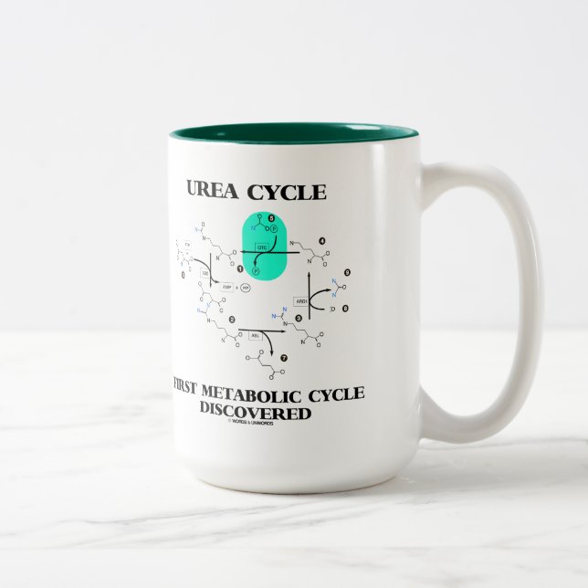Urea Cycle First Metabolic Cycle Discovered Two-Tone Coffee Mug (Right)